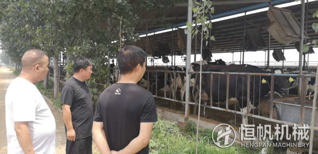 鐘經(jīng)理在客戶(hù)的帶領(lǐng)下參觀牛養(yǎng)殖場(chǎng)
